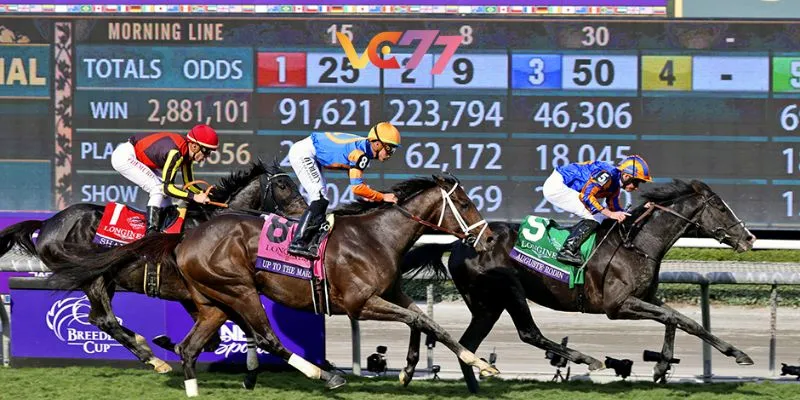 Introducing horse racing betting at VC77