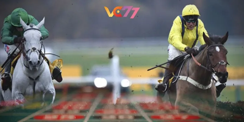 The popular and easy -to -win horse racing betting