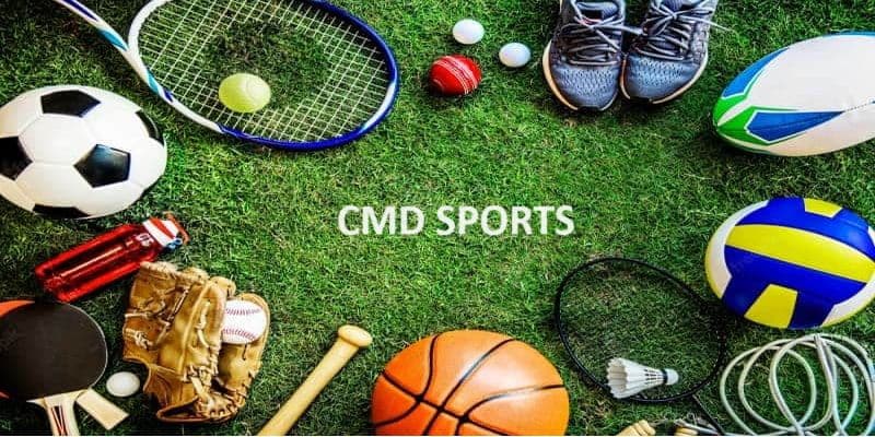 The outstanding elements of the hall CMD