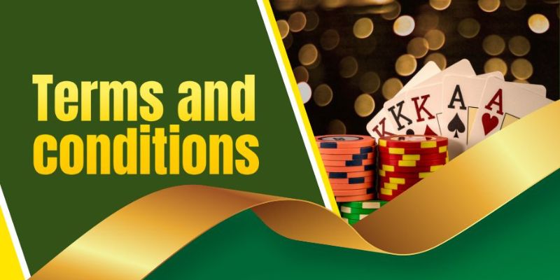 Discover the features of terms & conditions
