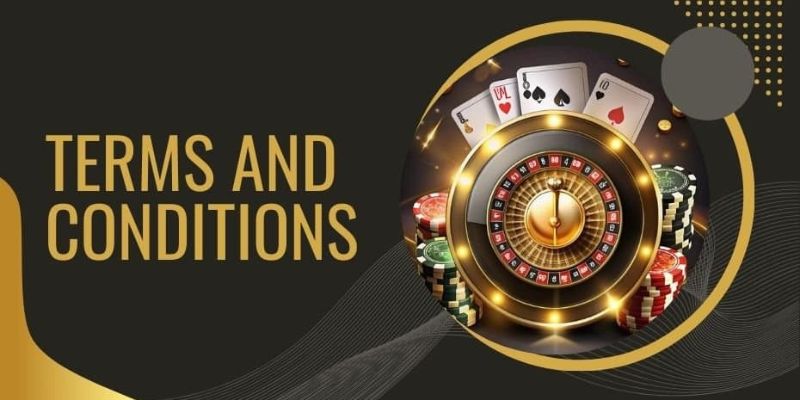 Terms and conditions on security and privacy