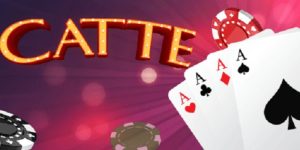 Catte Card Game – Tips to Increase Your Chances of Winning