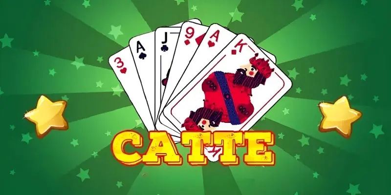 Learn the popularity of catte card game
